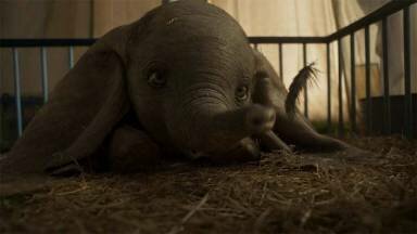 El tráiler de 'Dumbo' es tan hermoso que no podrás verlo sin llorar