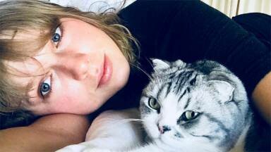 Taylor Swift lanzó línea de moda inspirada en sus gatos