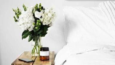 Plantas que puedes colocar en tu habitación para dormir mejor